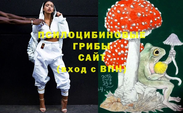 PSILOCYBIN Инсар