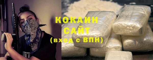 PSILOCYBIN Инсар