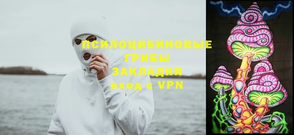 спиды Инта