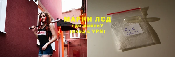 PSILOCYBIN Инсар
